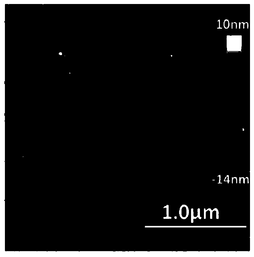 Protein nano-film based on sulfhydryl and disulfide bond exchange reaction, and application thereof