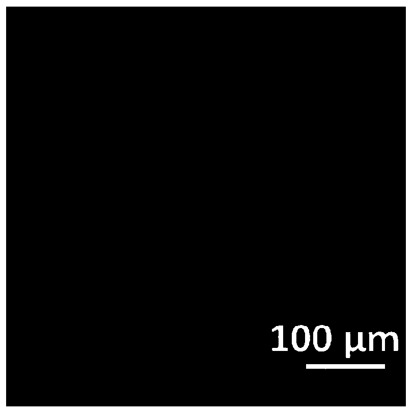 Protein nano-film based on sulfhydryl and disulfide bond exchange reaction, and application thereof