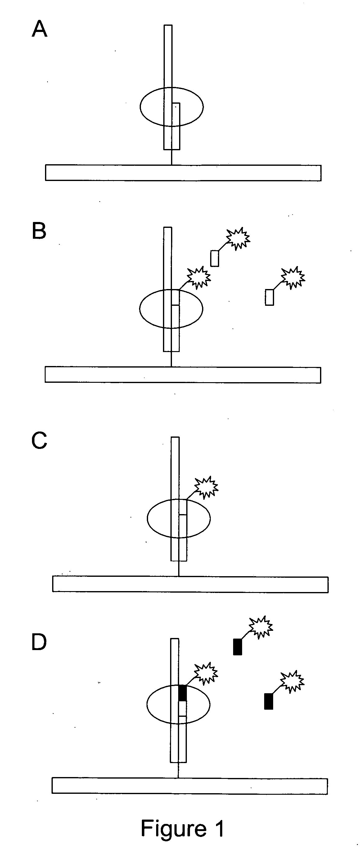 Nucleotide compositions and uses thereof