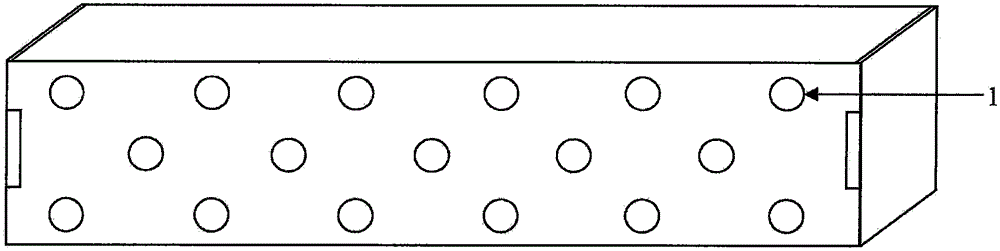 Conveying device for chrysanthemum cutting seedlings