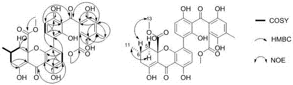 Secalonic acid I originated from penicillium oxalicum and application thereof in preparation of drugs for preventing human esophagus cancer