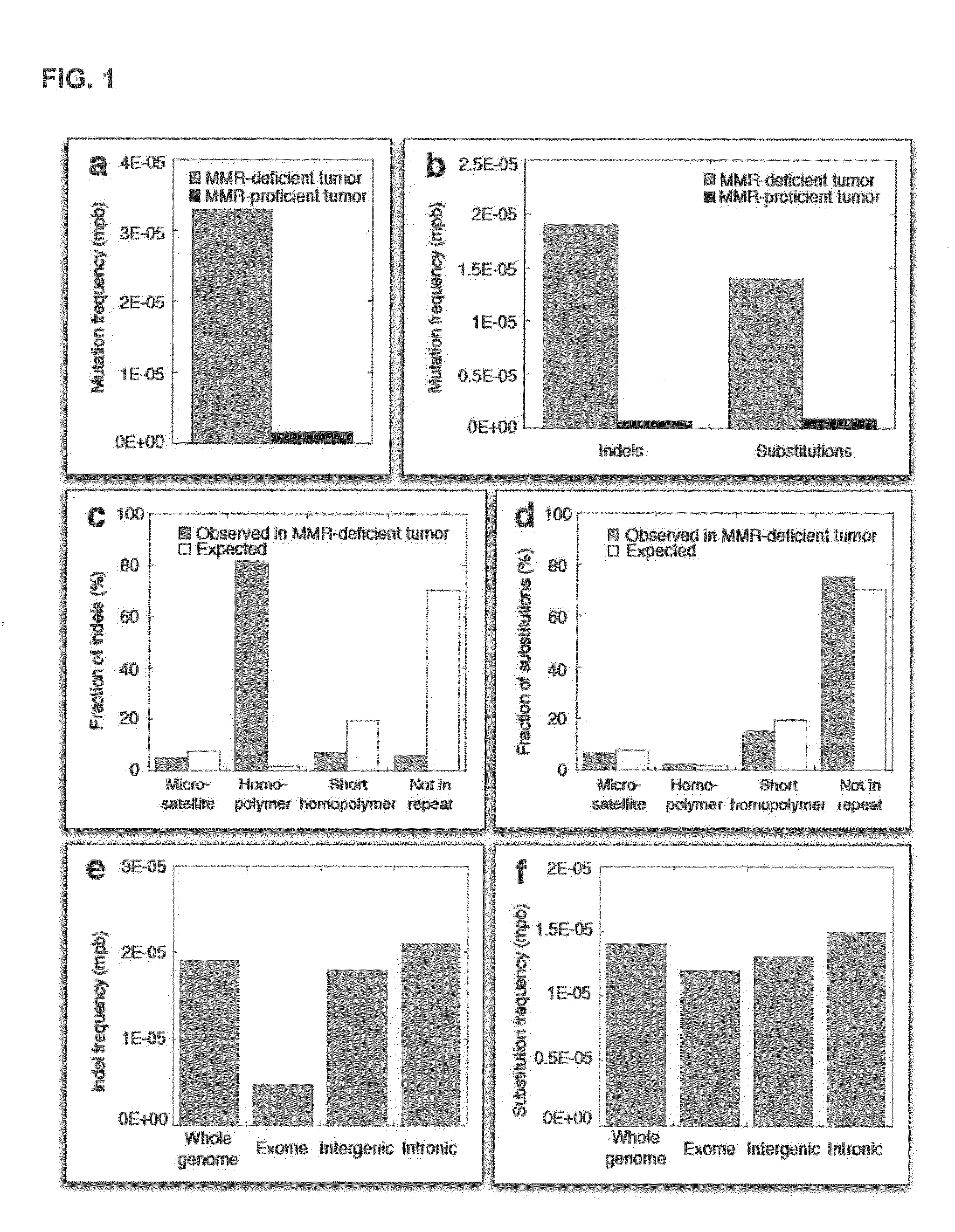 Novel markers for detecting microsatellite instability in cancer and determining synthetic lethality with inhibition of the DNA base excision repair pathway