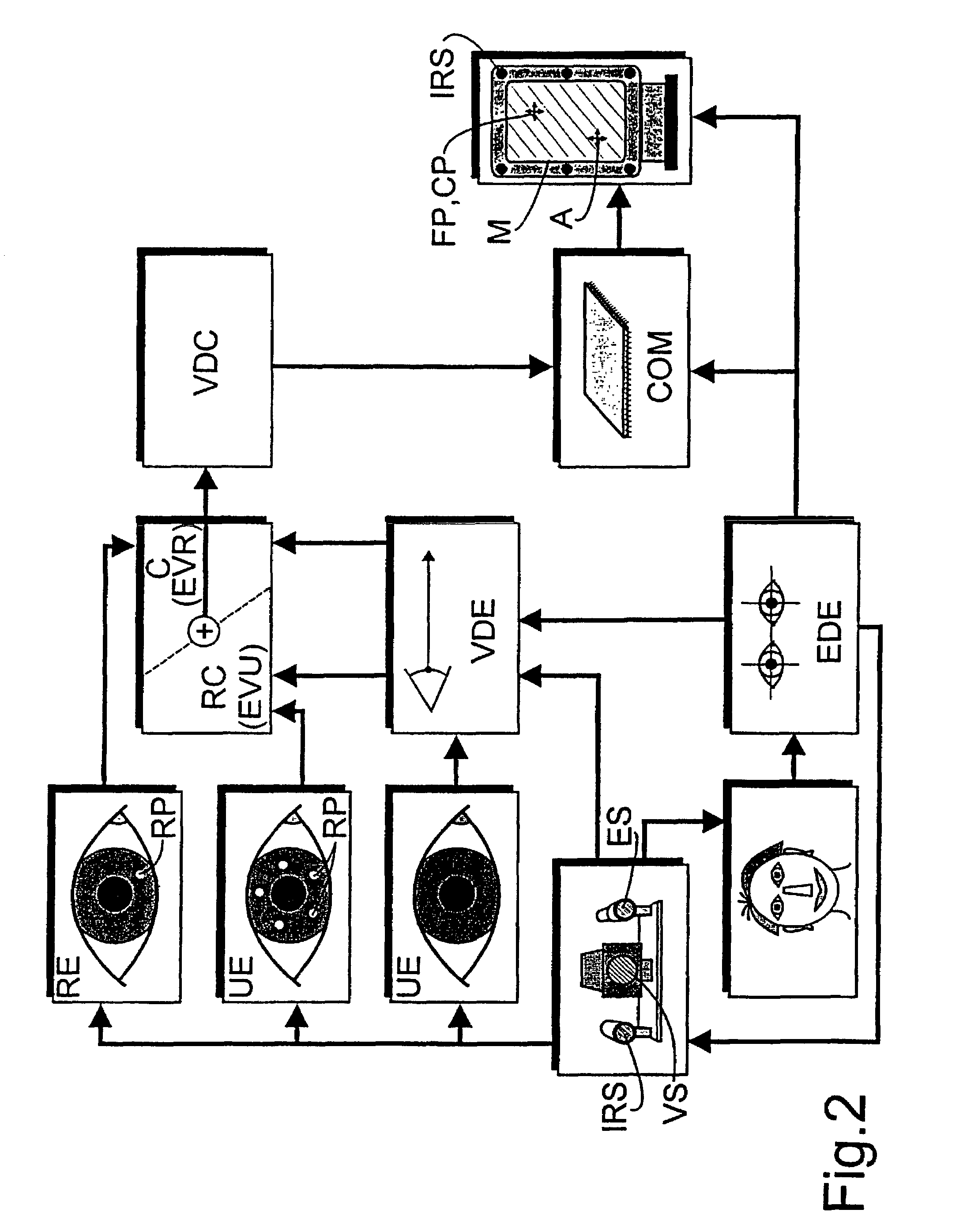 Method and apparatus for computer-aided determination of viewer's gaze direction