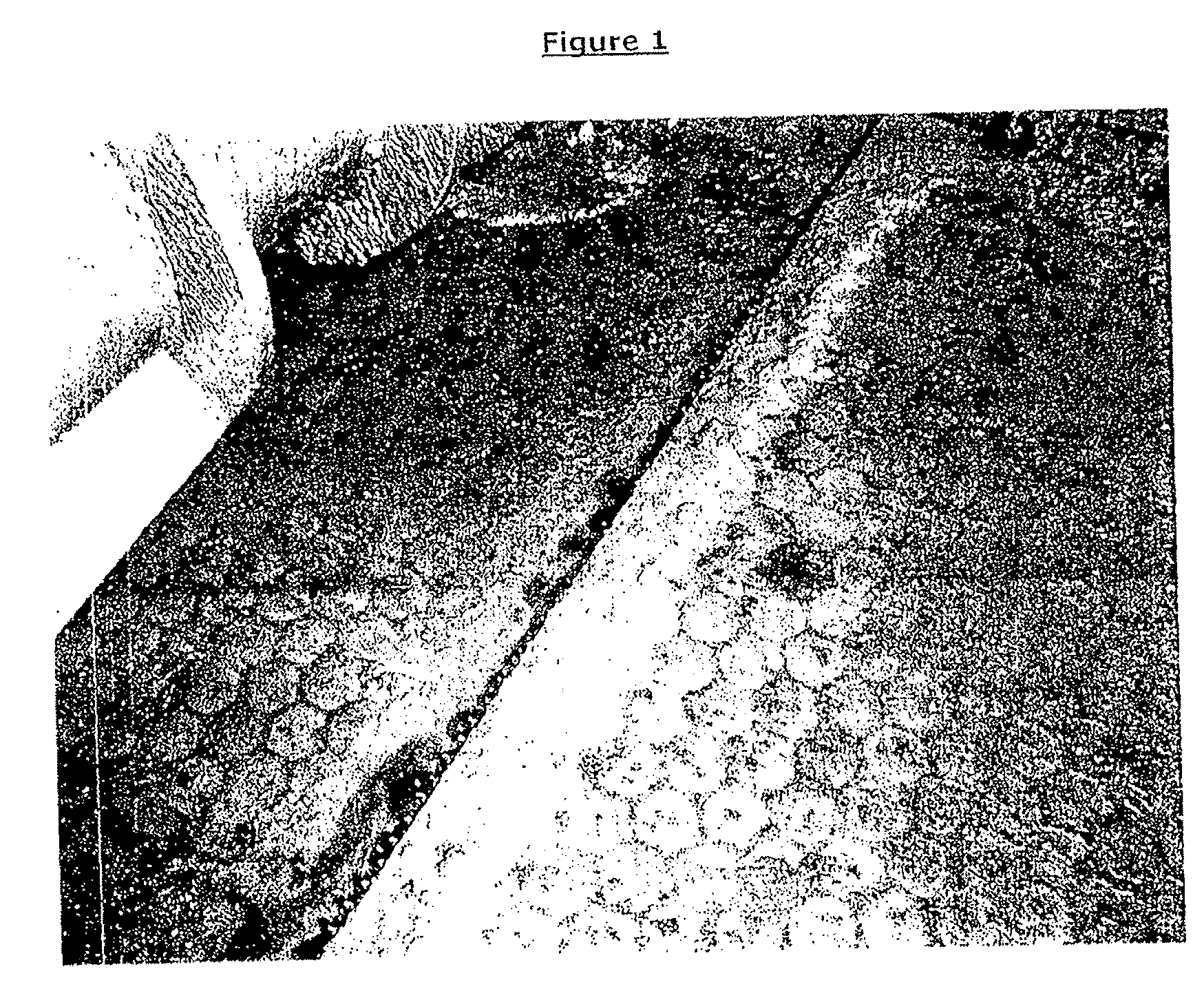 Water-Based Polymer Drilling Fluid and Method of Use