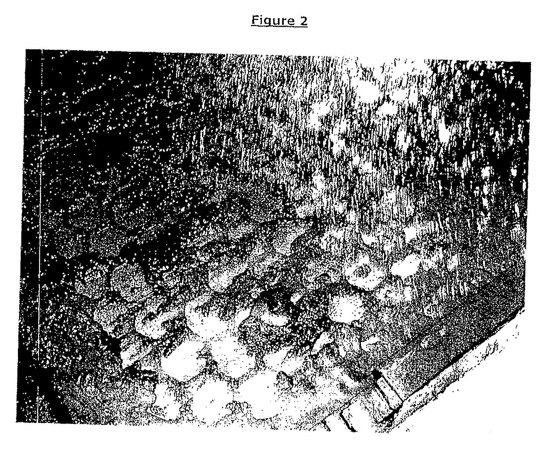 Water-Based Polymer Drilling Fluid and Method of Use