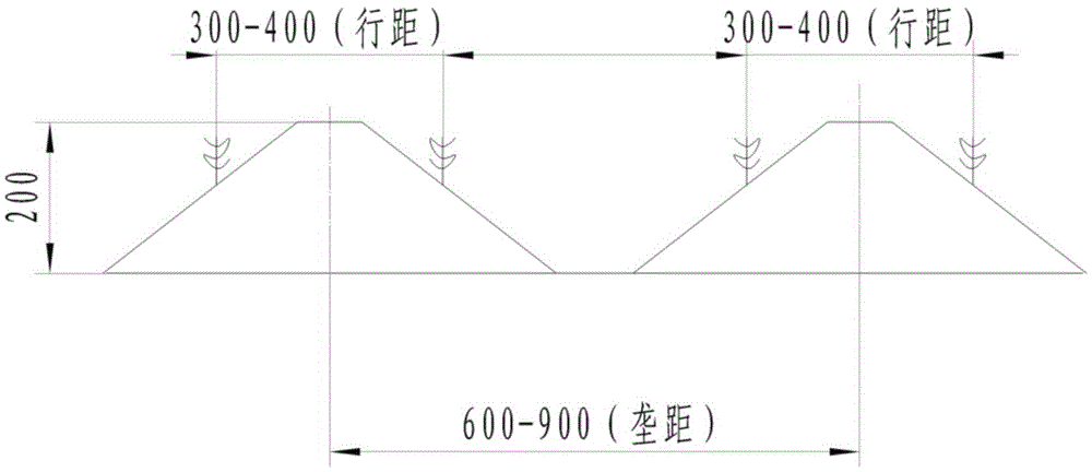 High-ridge ridge side double-row film-covered drip irrigation planting method and special seeder