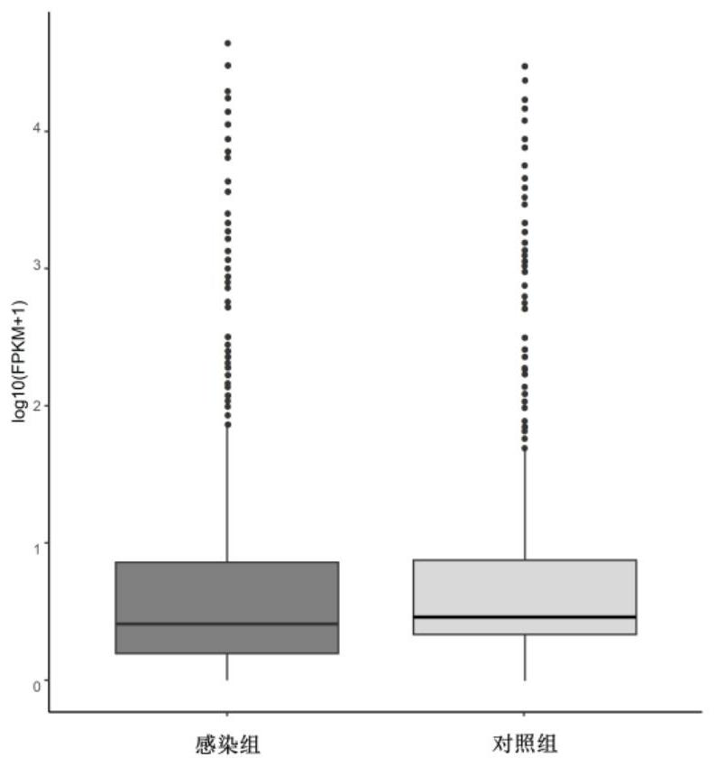 Screening method and application of toxoplasma gondii infected animal host brain tissue differential expression genes