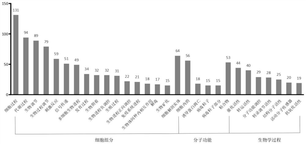 Screening method and application of toxoplasma gondii infected animal host brain tissue differential expression genes