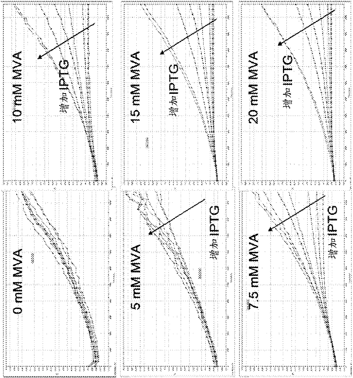 Isoprene synthase variants for improved production of isoprene