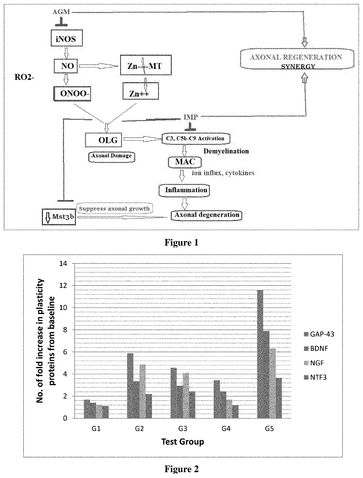 Novel synergistic nutritional compositions for promoting axonal regeneration