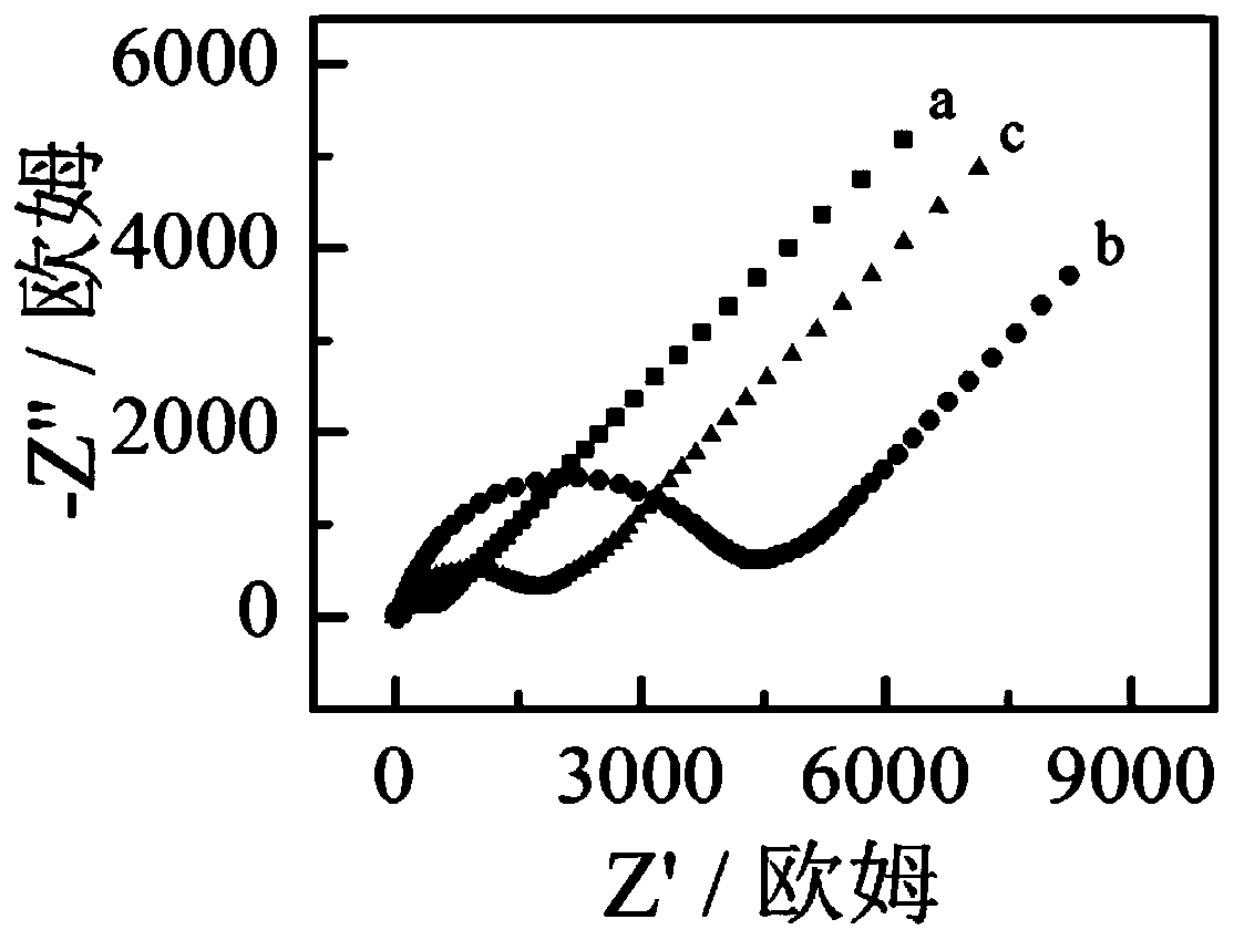 Preparation method and application of electrochemical biosensor for detecting mercury ions based on fast scanning cyclic voltammetry technology