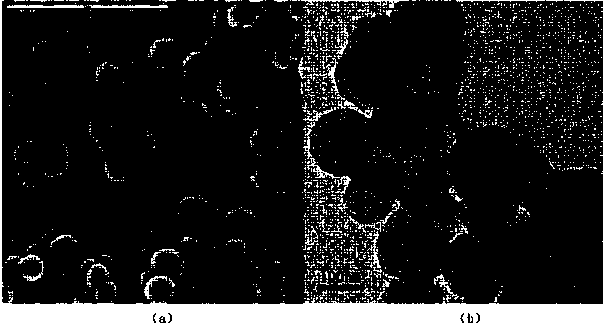 Tooth desensitizer as well as preparation method and application thereof