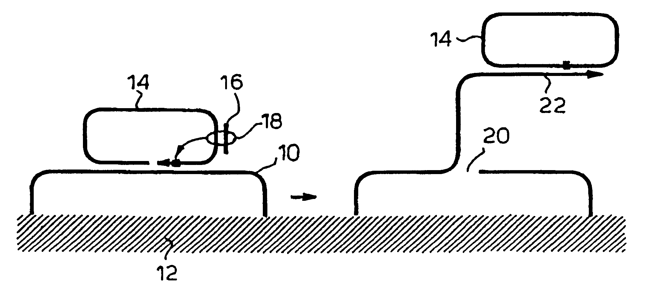 Rolling circle replication of padlock probes