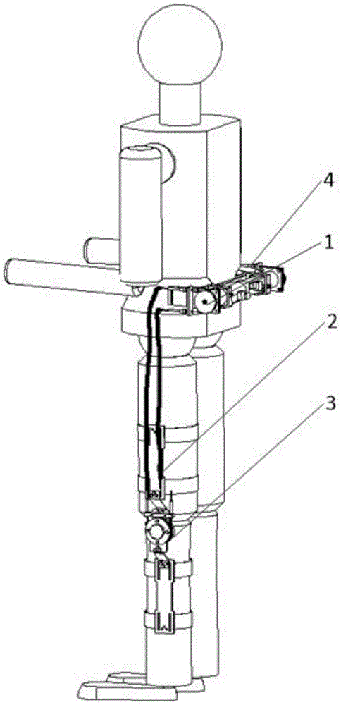 A knee assist rehabilitation device based on lasso transmission