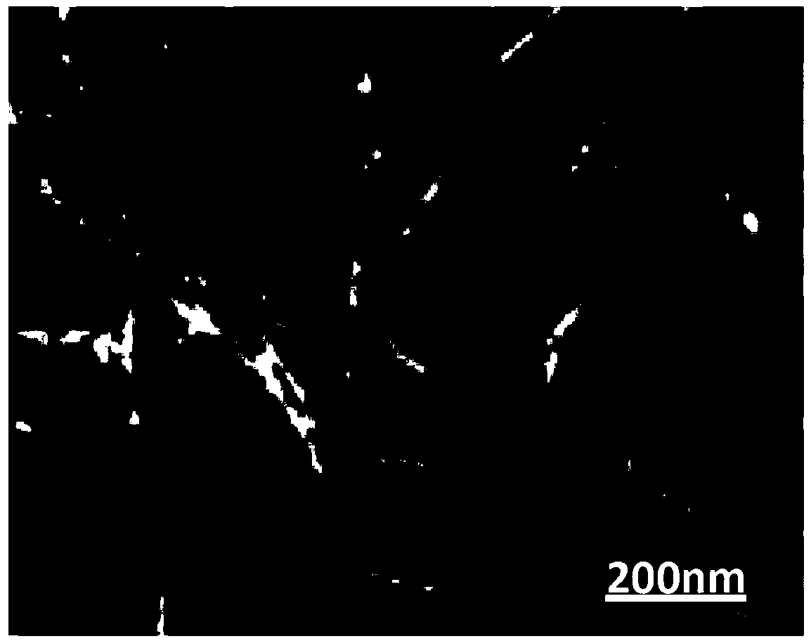 Preparation methods of immobilized nitrile group hydratase and (S)-N-ethylpyrrolidine-2-formamide