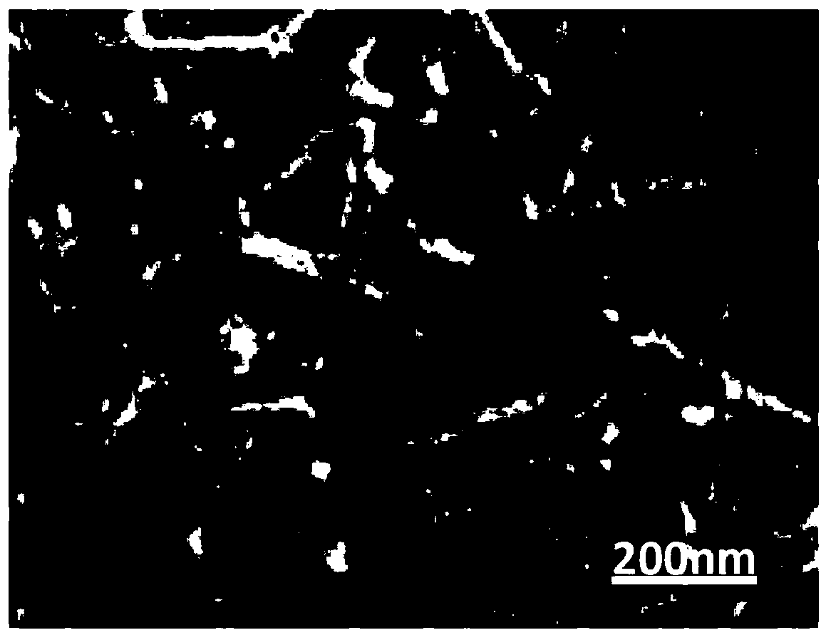 Preparation methods of immobilized nitrile group hydratase and (S)-N-ethylpyrrolidine-2-formamide