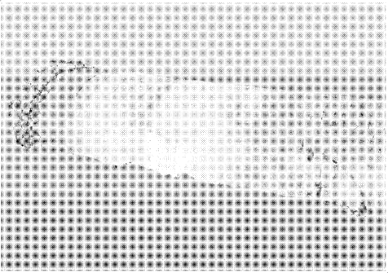 Method for monitoring and measuring full section of tunnel through three-dimensional laser