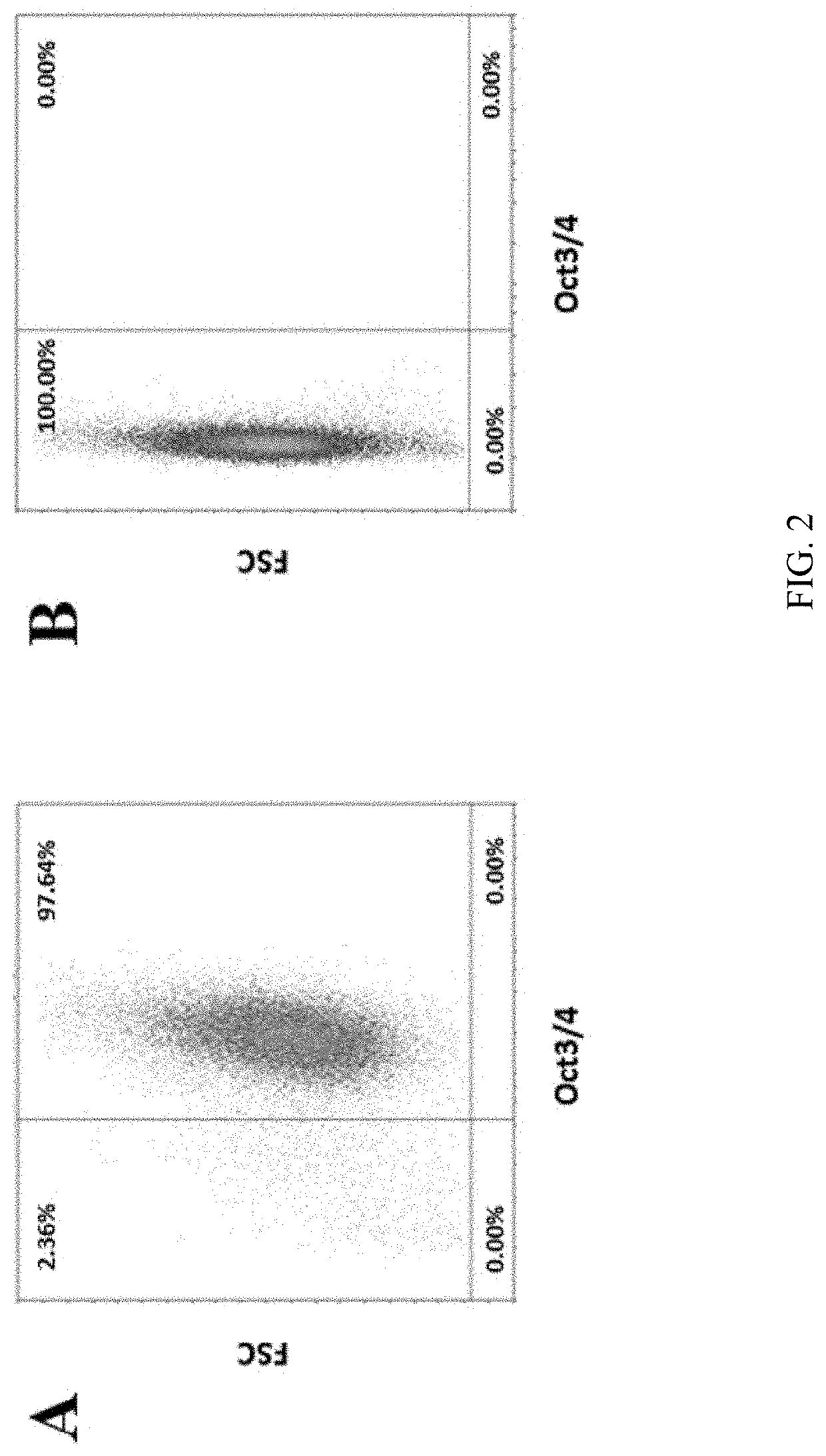 Method for the generation of a cell composition ventral midbrain dopaminergic progenitor cells