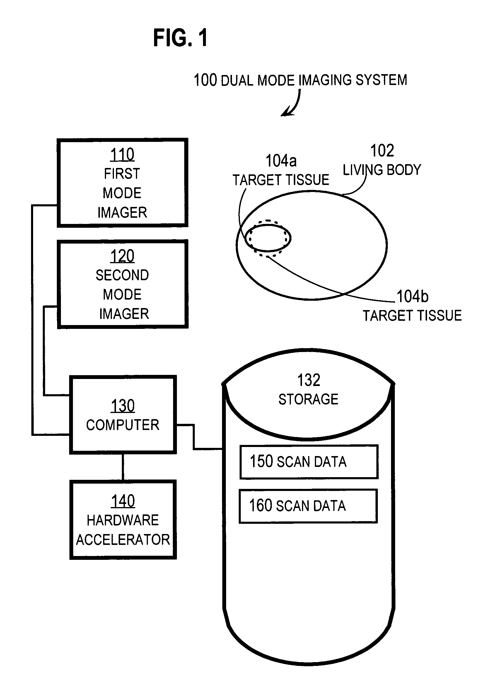 Segmentation of regions in measurements of a body based on a deformable model