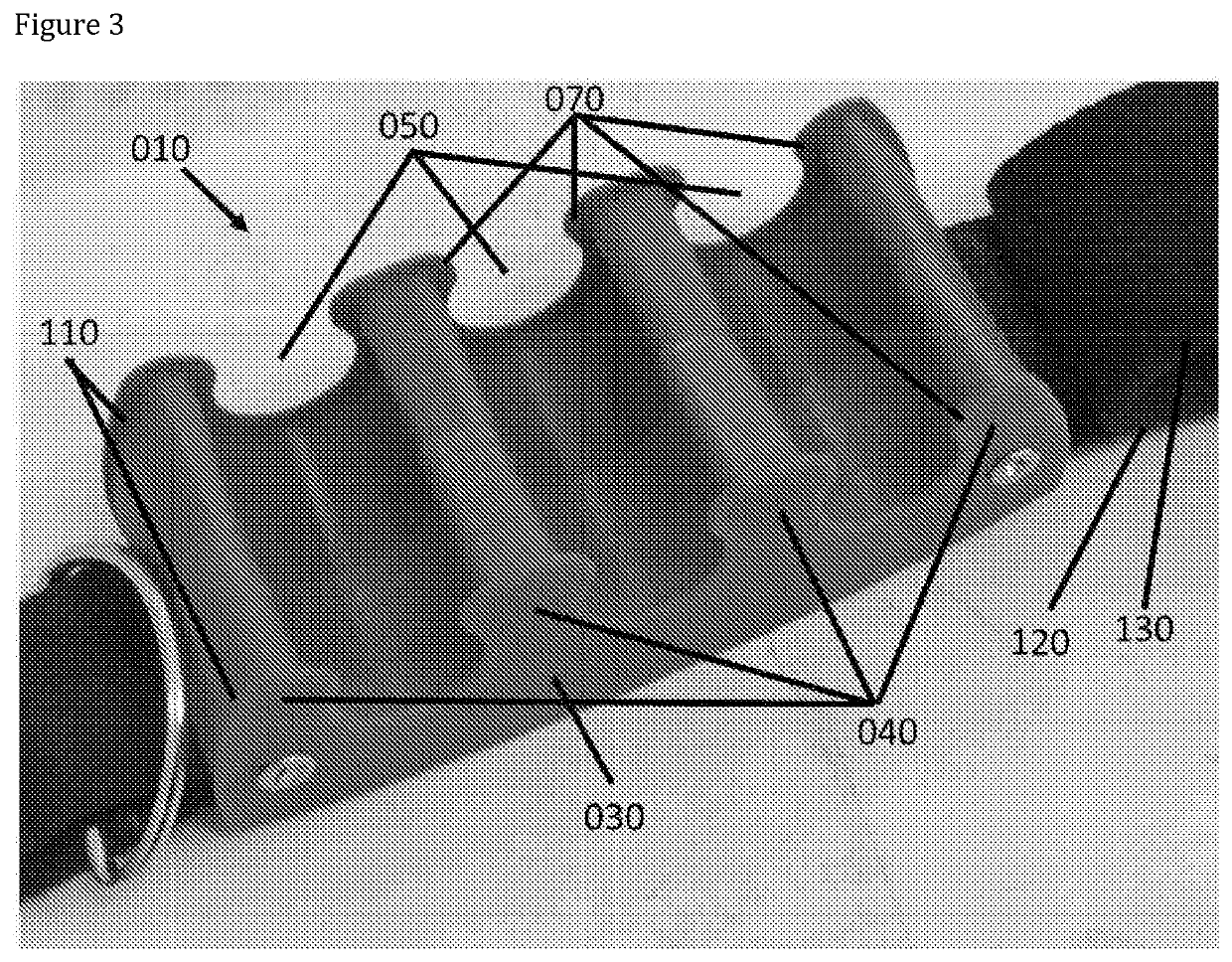 Tube fastener device