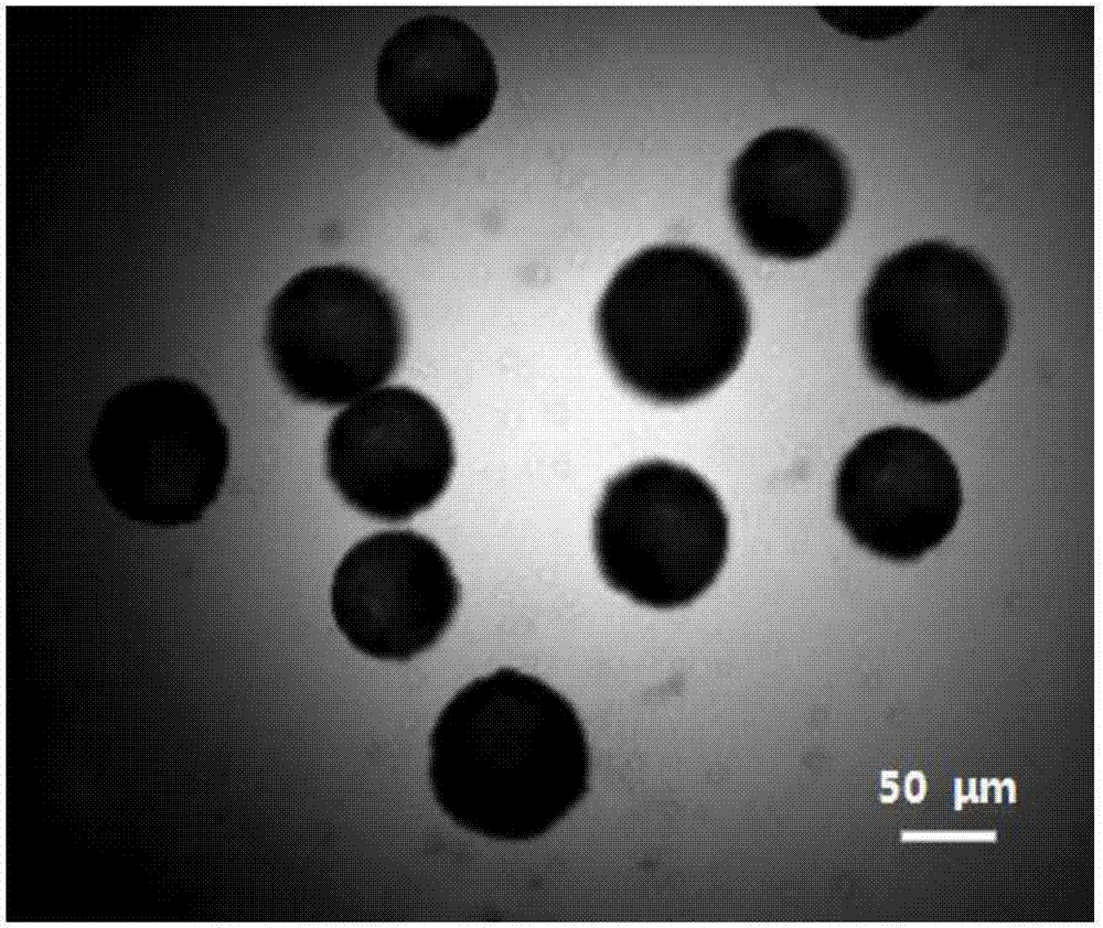 Micro-spherical silicon oxide/aluminum oxide based noble metal catalyst and preparation method thereof