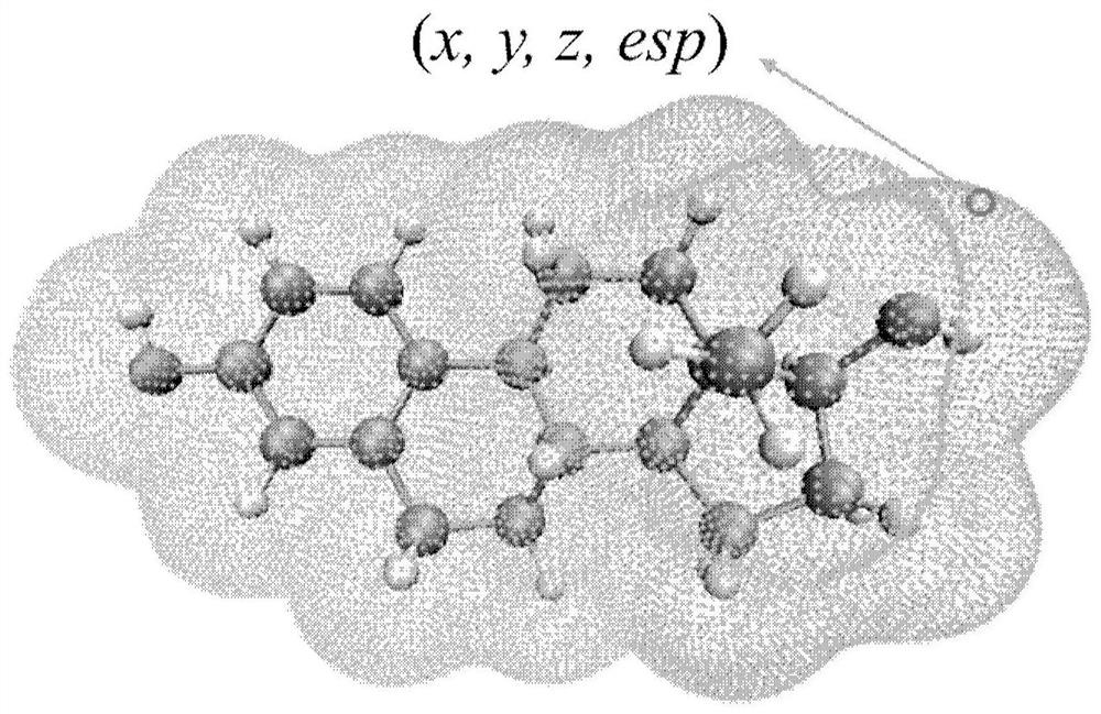 Rapid estrogen activity screening method based on molecular surface point cloud