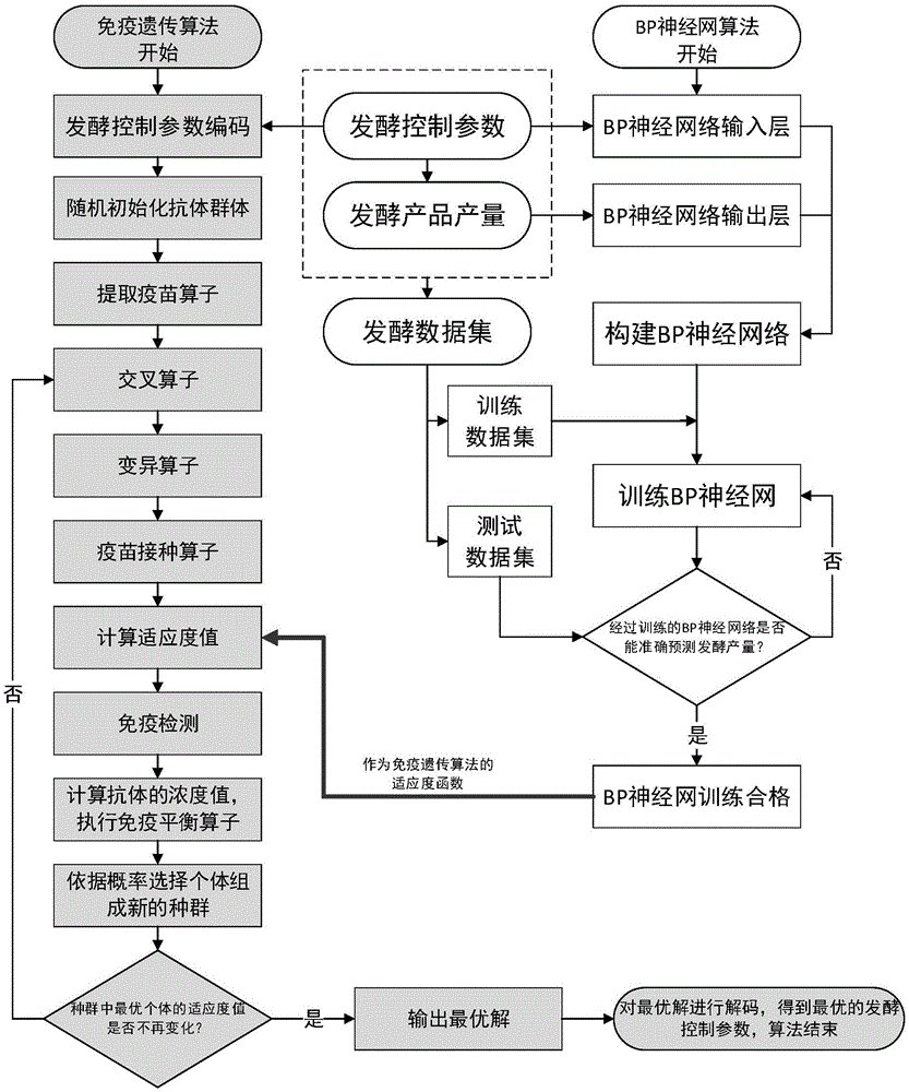 Back-propagation (BP) neural network immune genetic algorithm based microbial fermentation optimization method