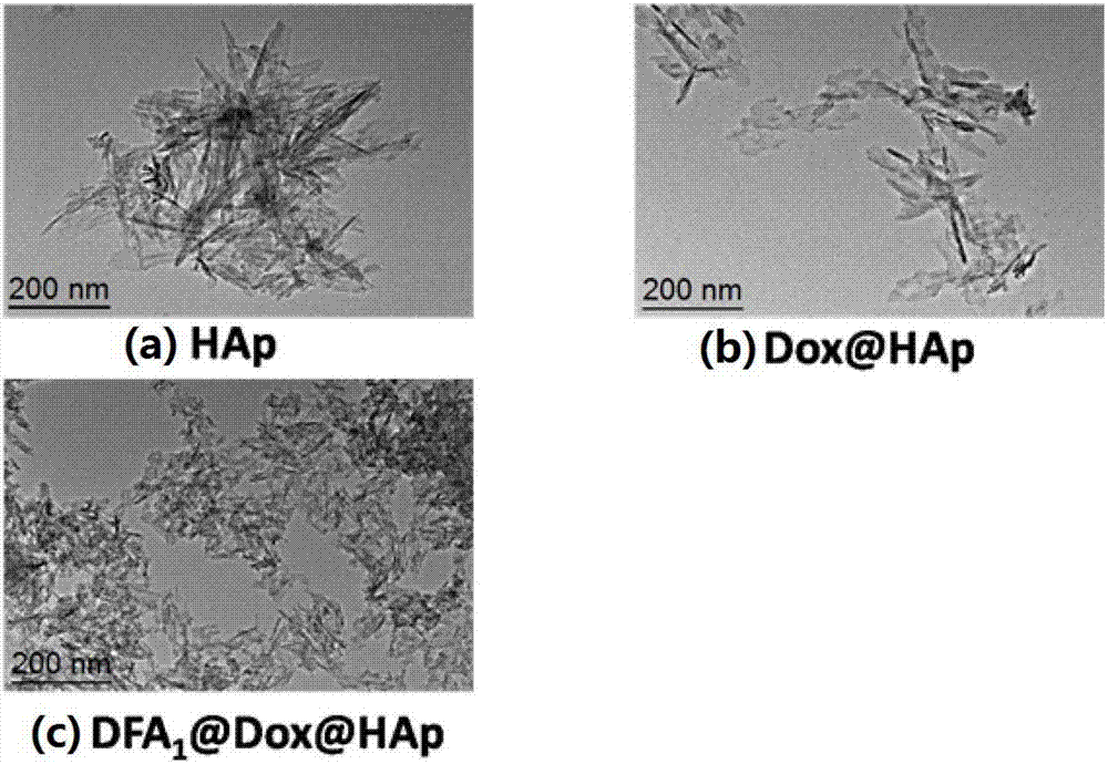 Target fluorescent dye and application thereof