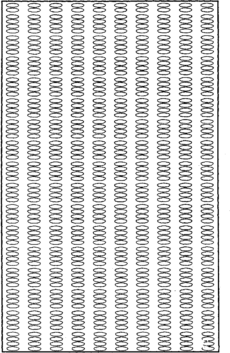 Panting method for orientated growth of rice