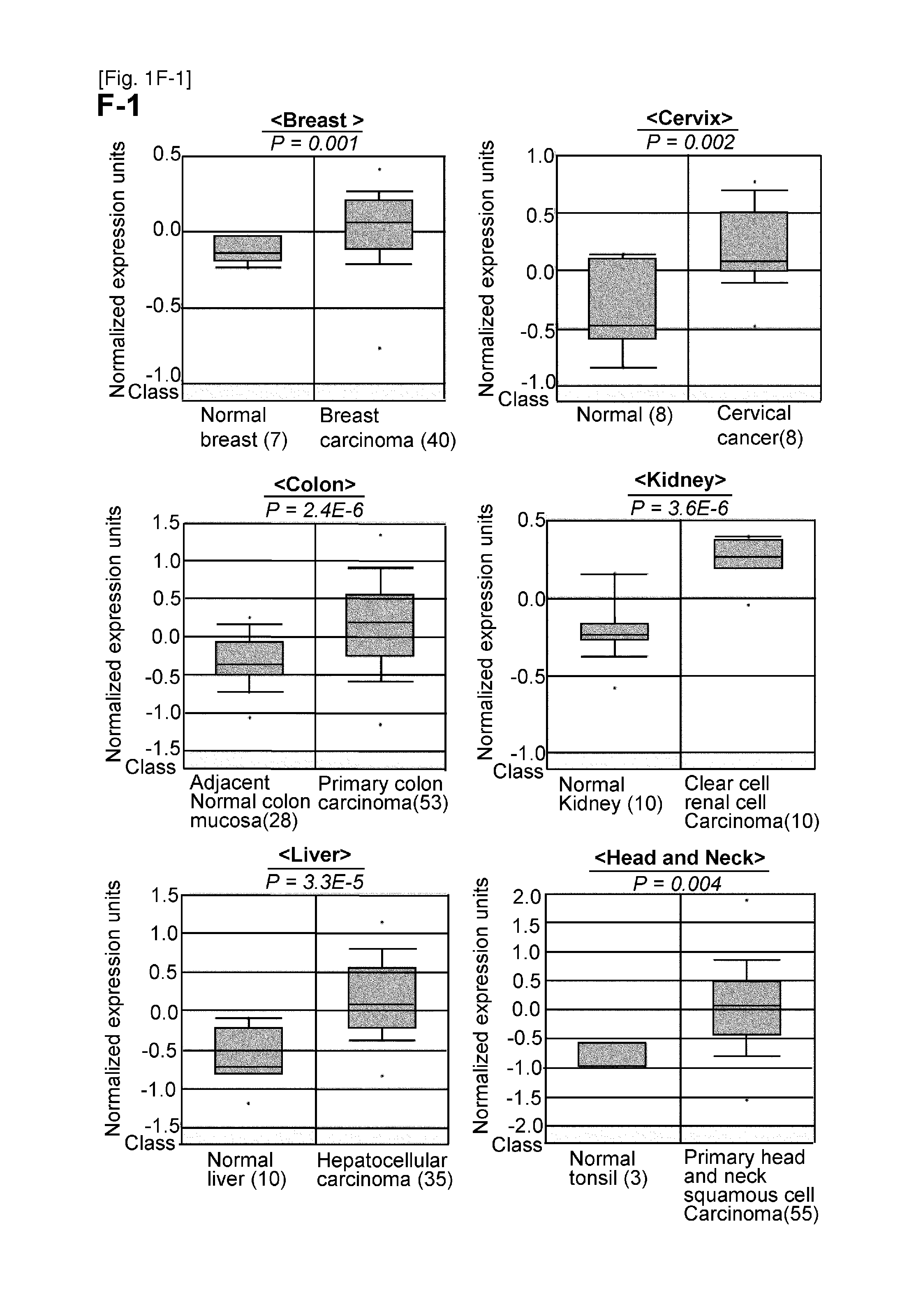 Smyd2 as a target gene for cancer therapy and diagnosis