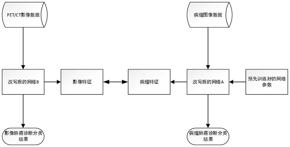 PET/CT automatic lung cancer diagnosis classification model training method based on pathological feature assistance