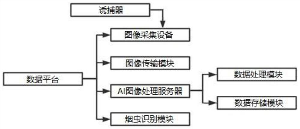 Artificial intelligence tobacco insect identification system based on Internet of Things