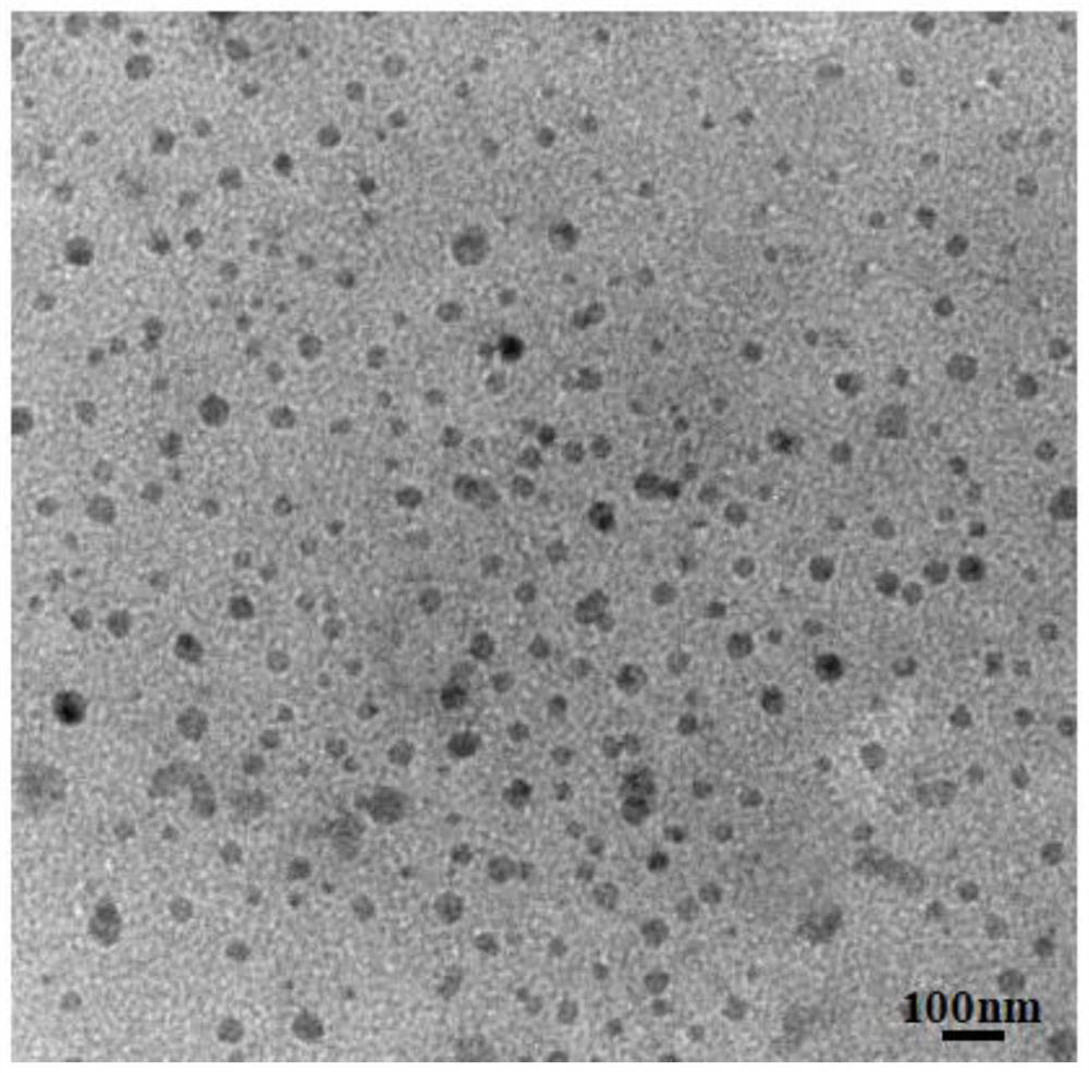 A fa-cus/ce6-gd nano-diagnosis and treatment probe of conjugated gadolinium and its preparation method and application