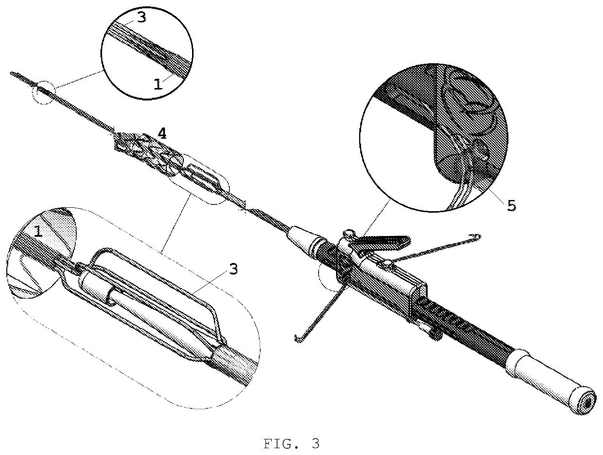 Multi lumen release device