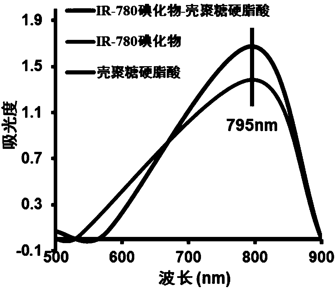 IR-780 iodide-chitosan stearic acid grafted substance as well as preparation and application thereof