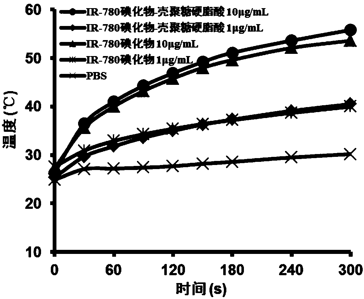 IR-780 iodide-chitosan stearic acid grafted substance as well as preparation and application thereof