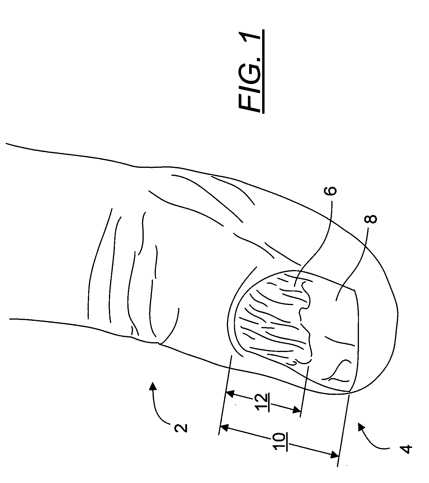 Algae supplement and treatment method