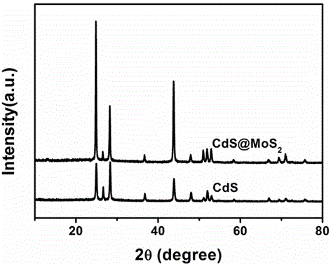 Composite photo-catalyst with molybdenum disulfide (MoS2) nanosheet/cadmium sulfide (CdS) nanowire core-shell structure