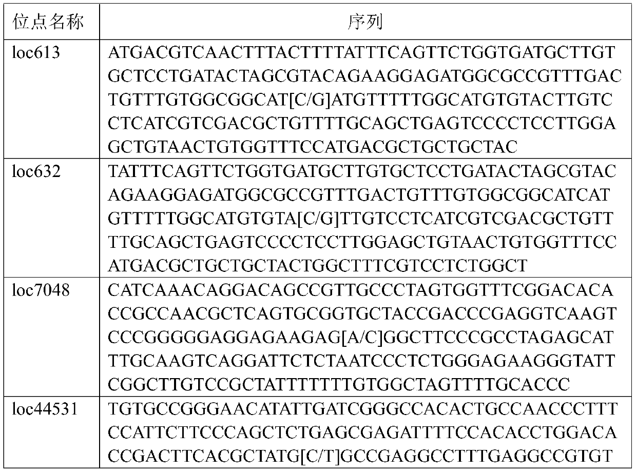 EB virus typing kit based on detection of variable sites