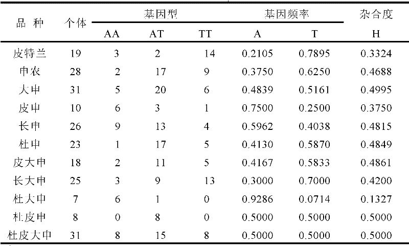 SNP marker used for traceability in pig SFTPC gene and detection method thereof