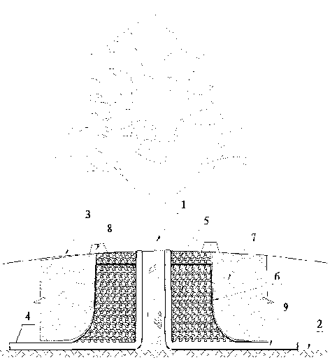 Method for reserving primeval big trees in process of terrain reform