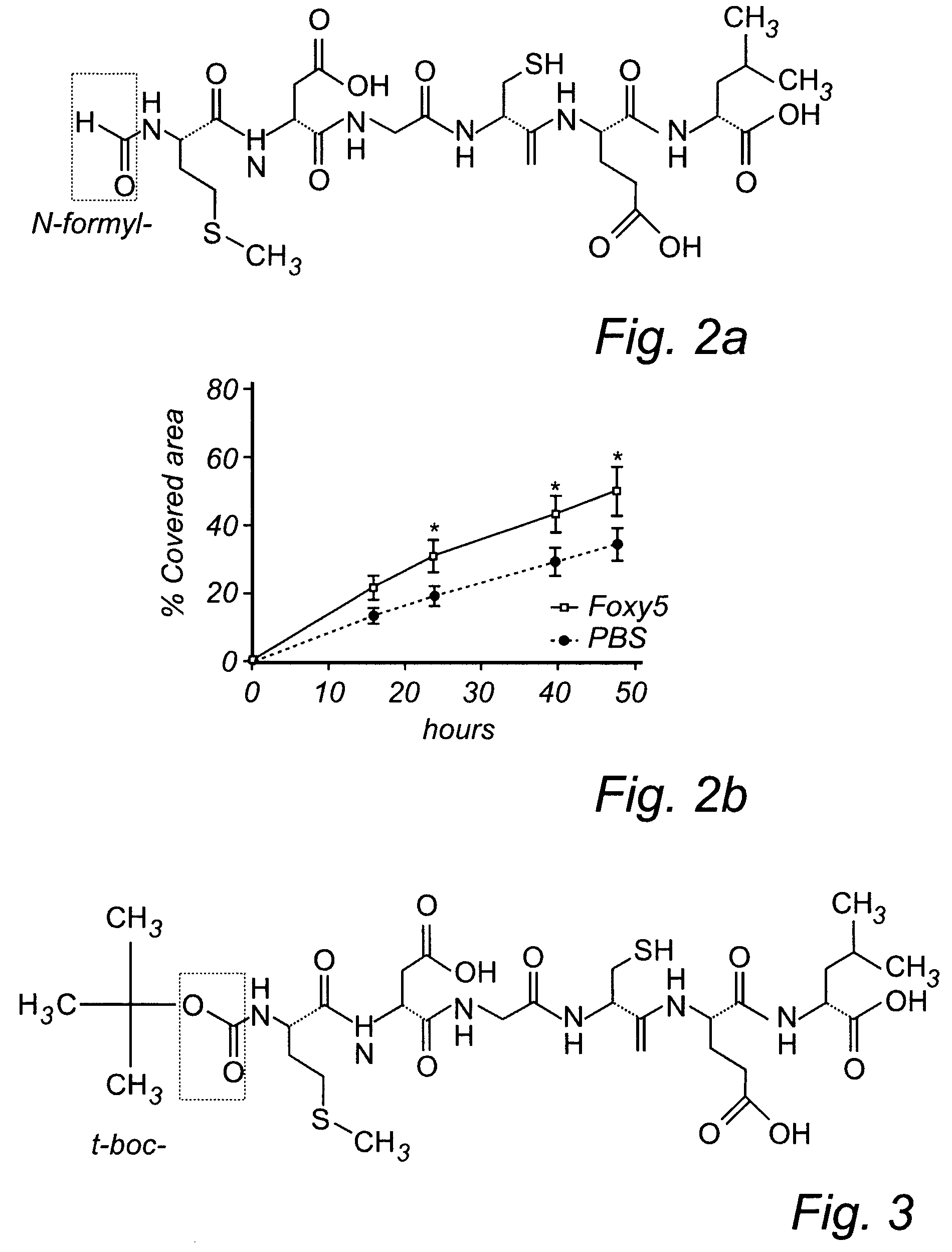 Use of Wnt5-alpha peptide derivates for the treatment of melanoma and gastric cancer