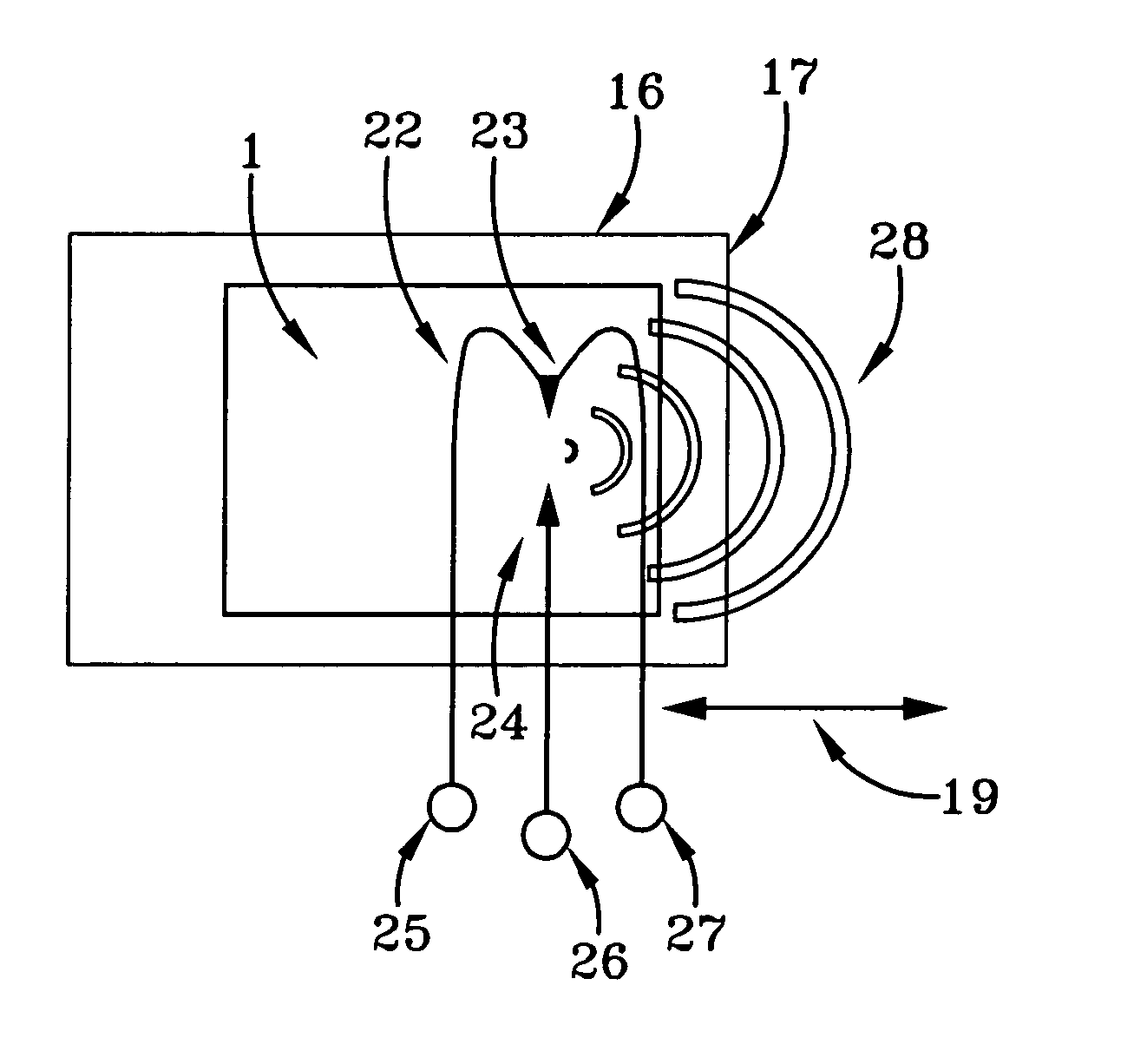 Method of shockwave treating fish and shellfish