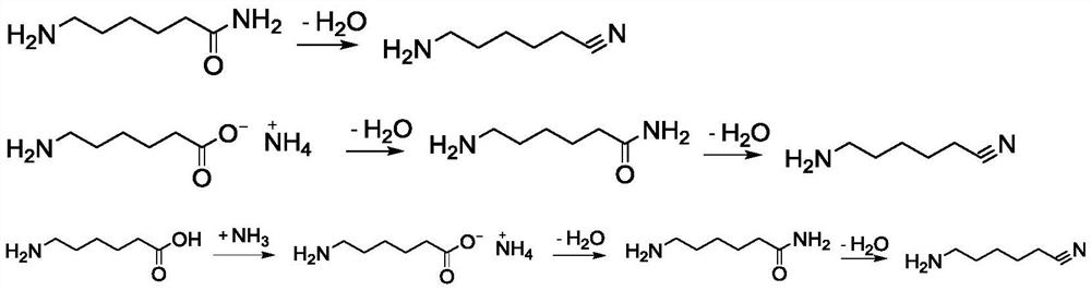 A method for producing hexamethylenediamine key intermediate 6-aminocapronitrile by continuous gas phase two-step method