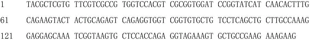 Cell-penetrating peptide and human Beta-defensin 3 fusion protein and preparation method and application thereof