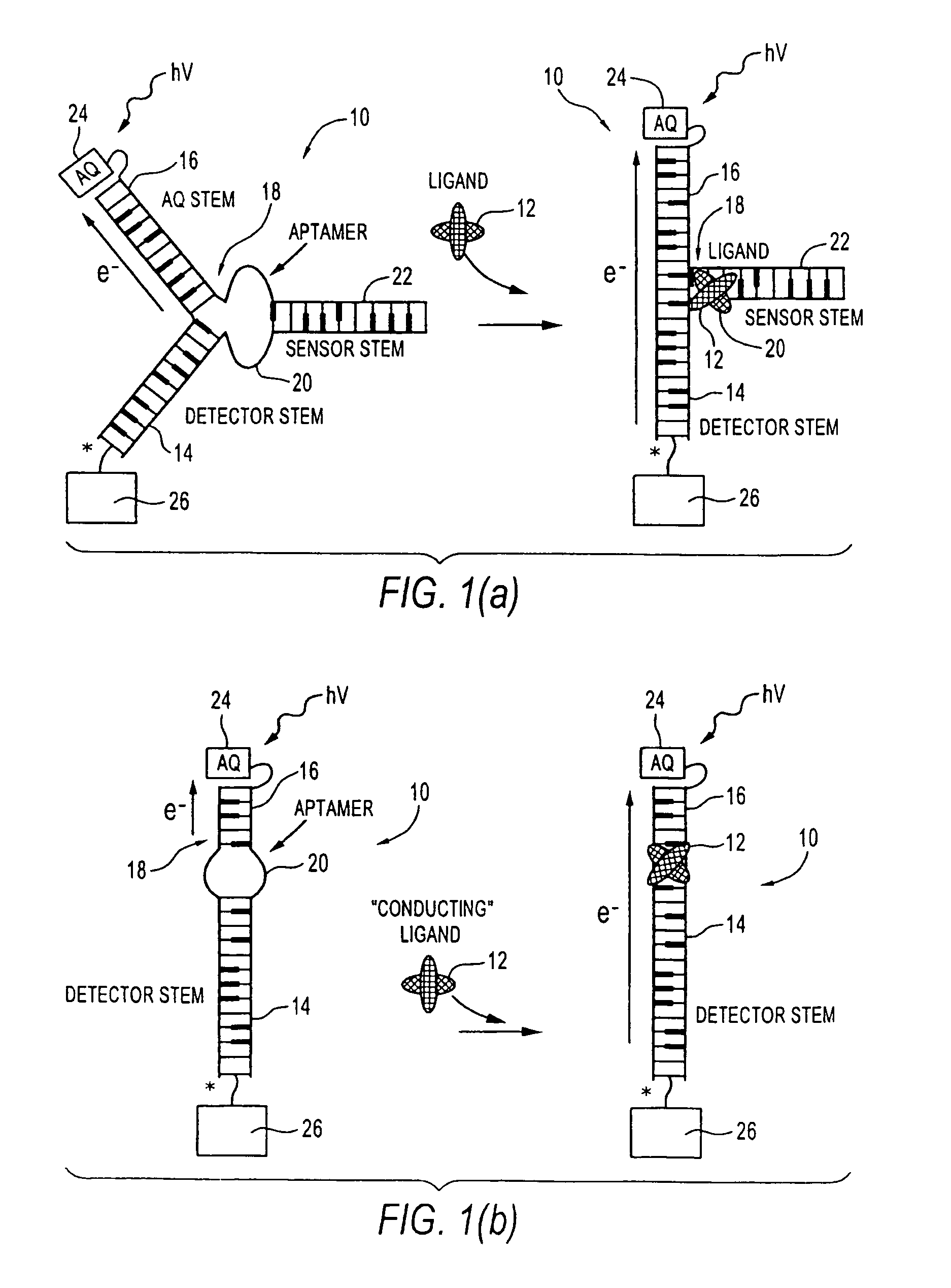 DNA conformational switches as sensitive electronic sensors of analytes