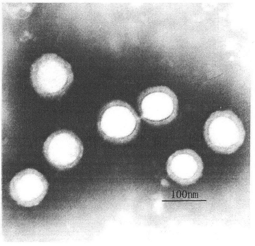 Preparation of nano silicone-acrylate core shell type composite latex for latex paints