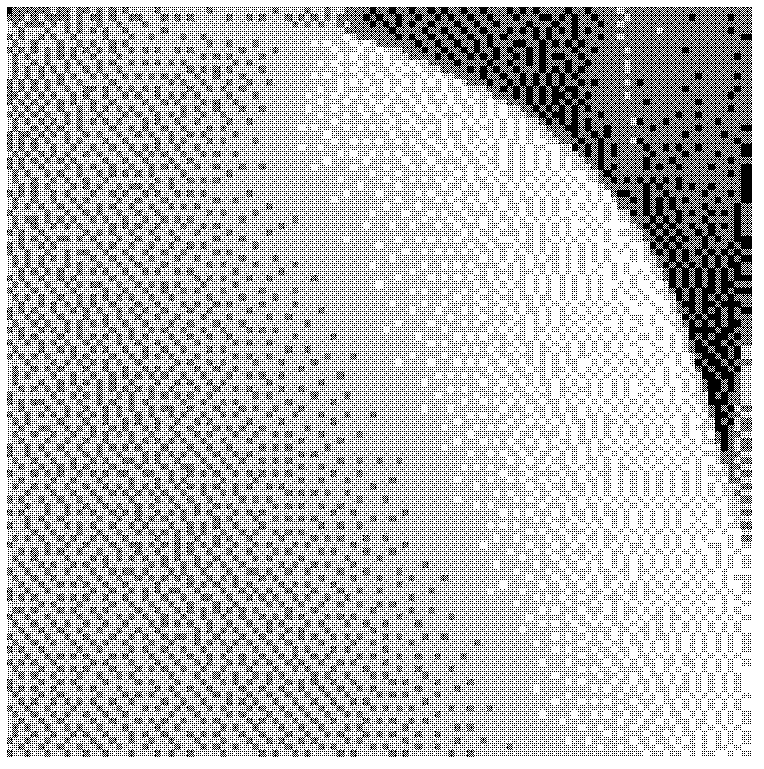 Correction method for multiple error-diffusion half-tone