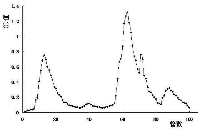 Method for preparing actinidia arguta polysaccharides