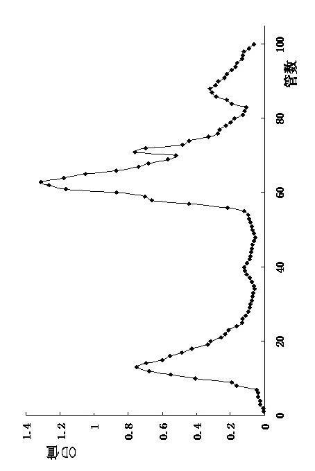 Method for preparing actinidia arguta polysaccharides